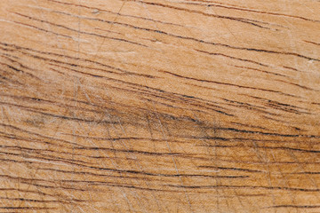 Wooden plank close up