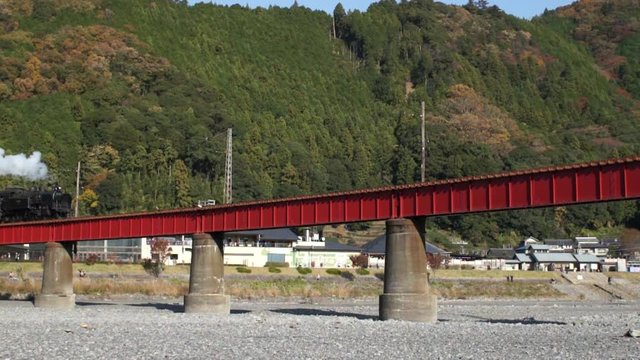 大井川第一橋梁を渡るC11型蒸気機関車大井川鉄道