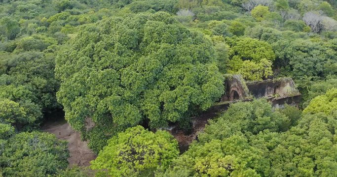 abandon church on green tree in the mountains