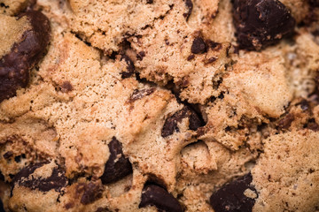 Detail of handmade chocolate chip cookie on dark blue background