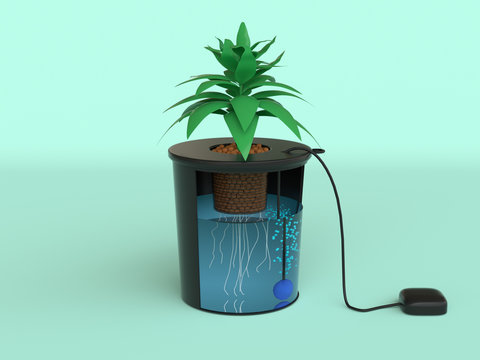 black tree pot green scene plan hydroponics system 3d render