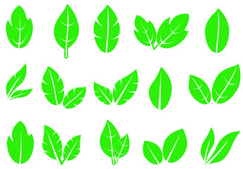 Green leaf icons set on white background, vector Illustration EPS 10.