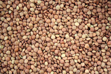 Brown lentils. Background texture of grains of brown lentils. Top view of lentil grain. Close-up, horizontal view from above. The concept of a healthy diet and agriculture.