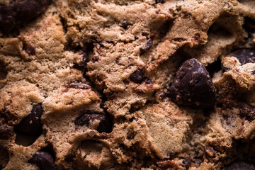 Detail of handmade chocolate chip cookie on dark blue background
