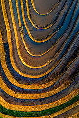 Water on terraces Mu Cang Chai, Yen Bai, Vietnam same world heritage Ifugao rice terraces in Batad, northern Luzon, Philippines.