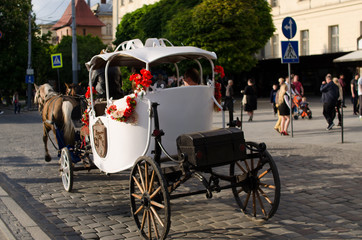 horse and carriage in the street