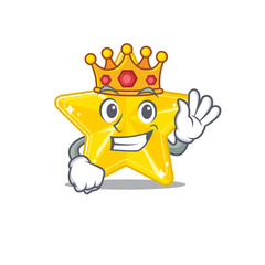 A Wise King of shiny star mascot design style