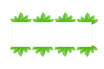 Leaf frame for inserting square text