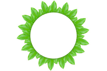 Leaf frame for inserting circular text in the middle