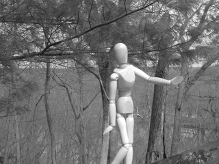 bare and bashful wooden figure in the woods