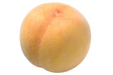 Fresh Golden Peach fruits on white background, Honey Yellow Peach isolated on white background,