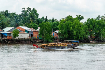 Fototapeta na wymiar Boat transporting poultry on the Mekong River. Vinh Long, Vietnam, Mekong delta.