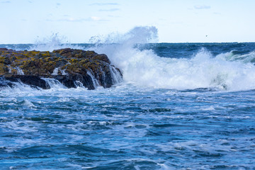 Wave splashing on rock