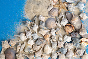 seashells on the sand on a blue background, the effect of the beach, сopy space on left side, upstairs