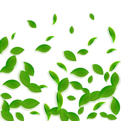 Fototapeta na wymiar Falling green leaves. Fresh tea chaotic leaves fly