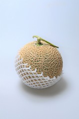 ネットのクッションで梱包されたメロンです