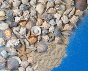 imitation beach on the table, shells on the sand on a blue background