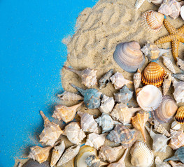 seashells on the sand on a blue background, the effect of the beach, сopy space on left side, upstairs