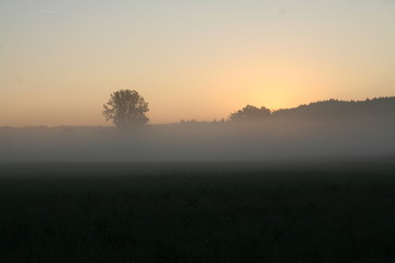 Morgenrot, Nebel, Stimmung