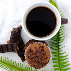 Coffee cup and green fern on white background. Top view