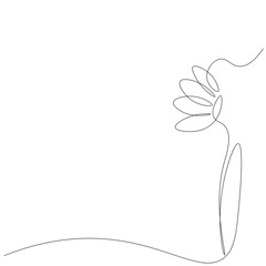 Flower line drawing on white background. Vector illustration