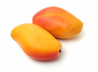 Mango on a white background