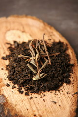 natural tea, tea ceremony, sagan-share