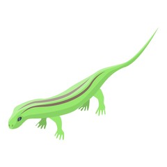 Field lizard icon. Isometric of field lizard vector icon for web design isolated on white background
