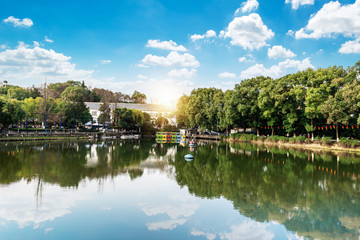 lake in the park