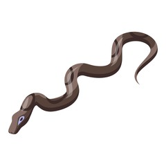 Venomous snake icon. Isometric of venomous snake vector icon for web design isolated on white background