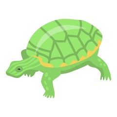 Green turtle icon. Isometric of green turtle vector icon for web design isolated on white background