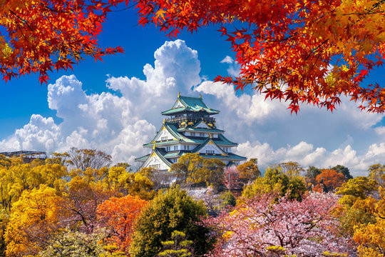 Autumn seasons and castle in Osaka, Japan. - Powered by Adobe