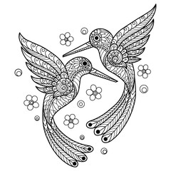Hummingbird. Hand drawn sketch illustration for adult coloring book. © kaewta