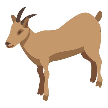 Domestic goat icon. Isometric of domestic goat vector icon for web design isolated on white background