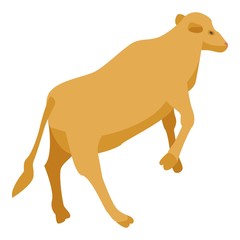 Farm cow icon. Isometric of farm cow vector icon for web design isolated on white background