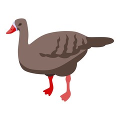 Domestic goose icon. Isometric of domestic goose vector icon for web design isolated on white background