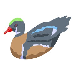 Duck icon. Isometric of duck vector icon for web design isolated on white background