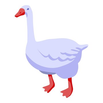 Canadian goose icon. Isometric of canadian goose vector icon for web design isolated on white background