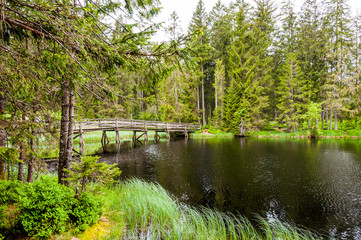 étang de la Gruère, la gruère, Moorsee, See, Weiher, Moor, Hochmoor, Wanderweg, Holzbrücke,...