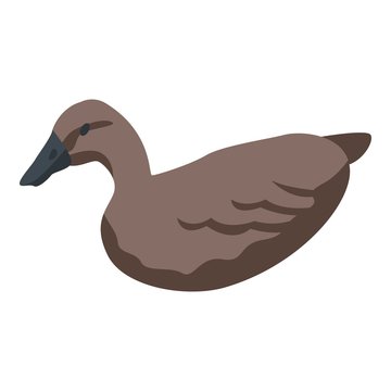 Wild duck icon. Isometric of wild duck vector icon for web design isolated on white background