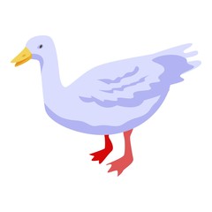 White farm duck icon. Isometric of white farm duck vector icon for web design isolated on white background