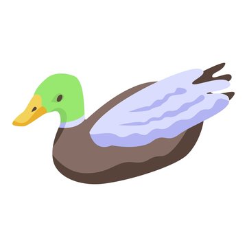 Cute wild duck icon. Isometric of cute wild duck vector icon for web design isolated on white background