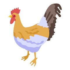 Farm rooster icon. Isometric of farm rooster vector icon for web design isolated on white background