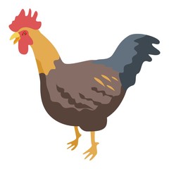 Muscle cock icon. Isometric of muscle cock vector icon for web design isolated on white background