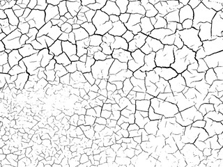 The cracks texture white and black. Vector background.Cracked earth. Structure of cracking. Cracks in dry surface soil texture.  
