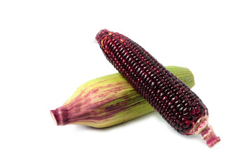 Fresh slice red corn isolated on white background.(black corn, purple corn) Siam Ruby Queen or Red corn of sweet corn.  Grains of ripe corn with clipping path. Can be eaten fresh.