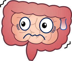 大腸、小腸のイラスト
