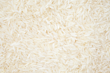 Close up of grains of jasmine rice