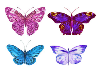 Obraz na płótnie Canvas butterflies watercolor hand painting