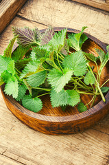 Stinging nettle leaves
